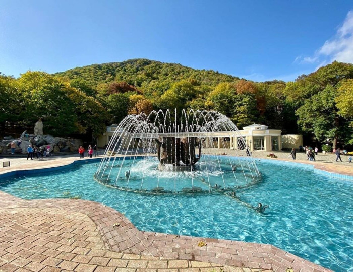 Услуги и развлечения